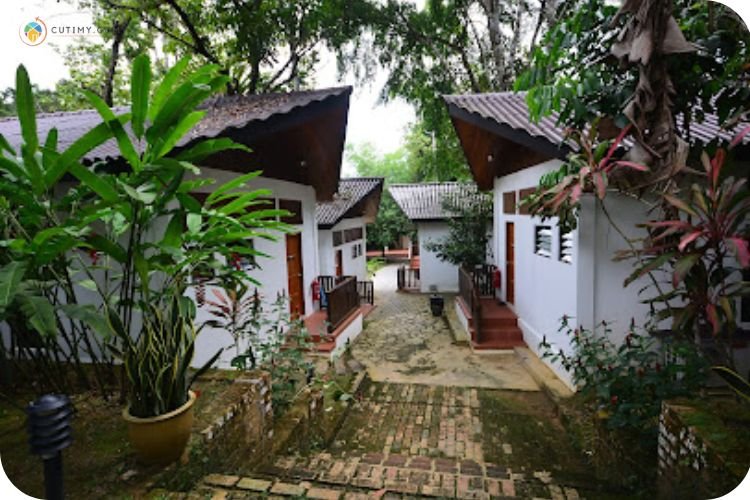 15 Tempat Menarik Di Janda Baik Wajib Singgah! 6 Imej Bidaisari Resort