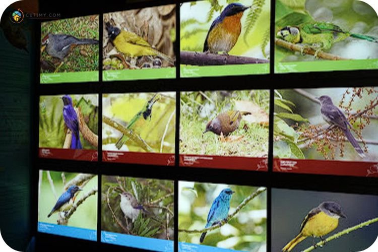 13 Tempat Menarik Di Bukit Fraser: Cuti Paling Best 5 Imej Bird Interpretive Centre