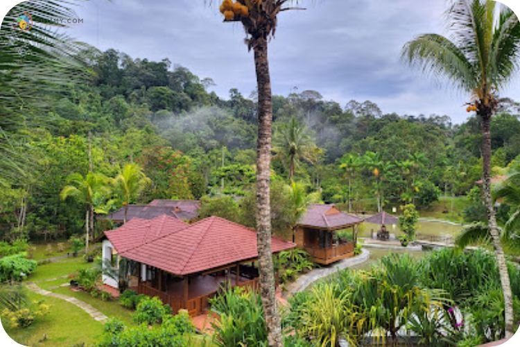 15 Tempat Menarik Di Janda Baik Wajib Singgah! 12 Imej Fifty4Ferns