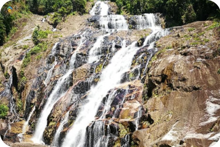 Imej Hutan Lipur Chemerong