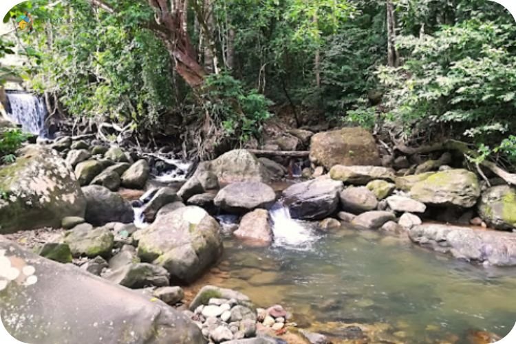 Imej Hutan Lipur Tupah