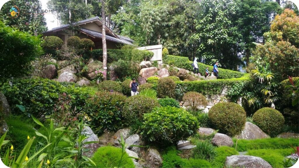 11+ Tempat Menarik di Bentong yang Wajib Singgah 5 Imej Kampung Jepun