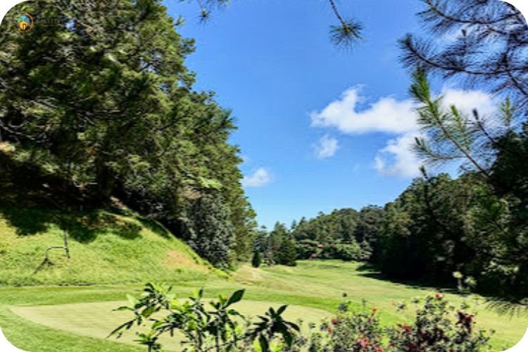 13 Tempat Menarik Di Bukit Fraser: Cuti Paling Best 2 Imej Kelab Golf Diraja Bukit Fraser