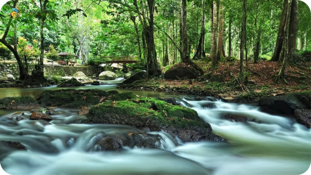 11+ Tempat Menarik di Bentong yang Wajib Singgah 3 Imej Lentang Forest Reserve