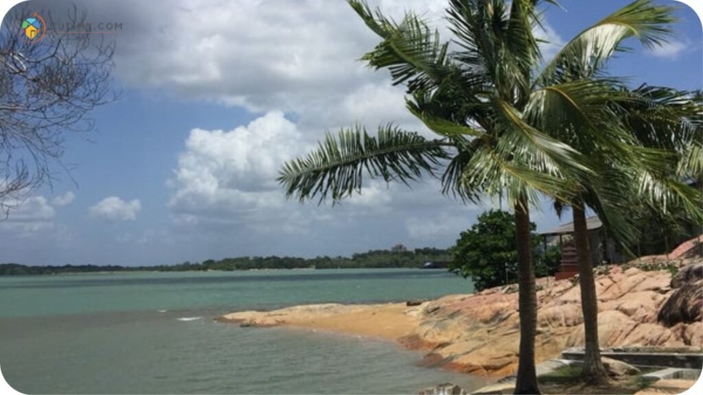 Imej Pantai Minyak Beku