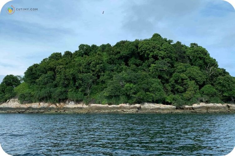 Imej Pulau Jarak
