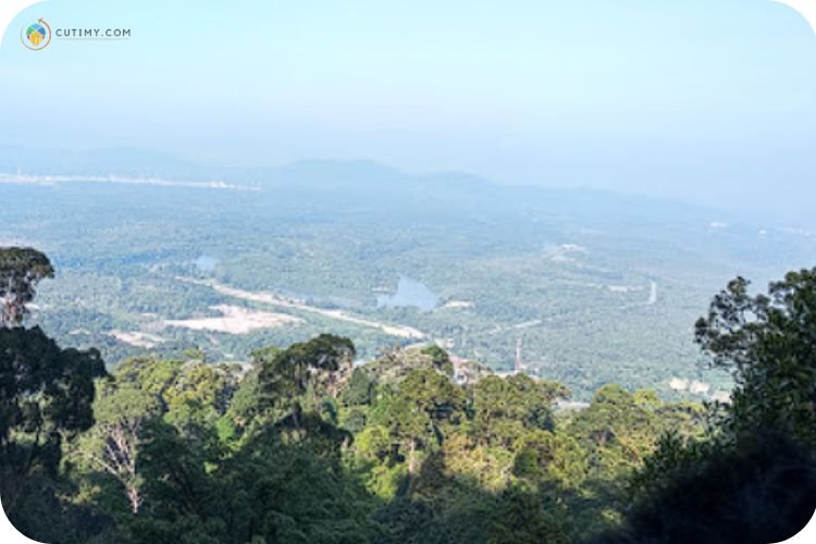 Imej Rimba Bandar Bukit Bauk