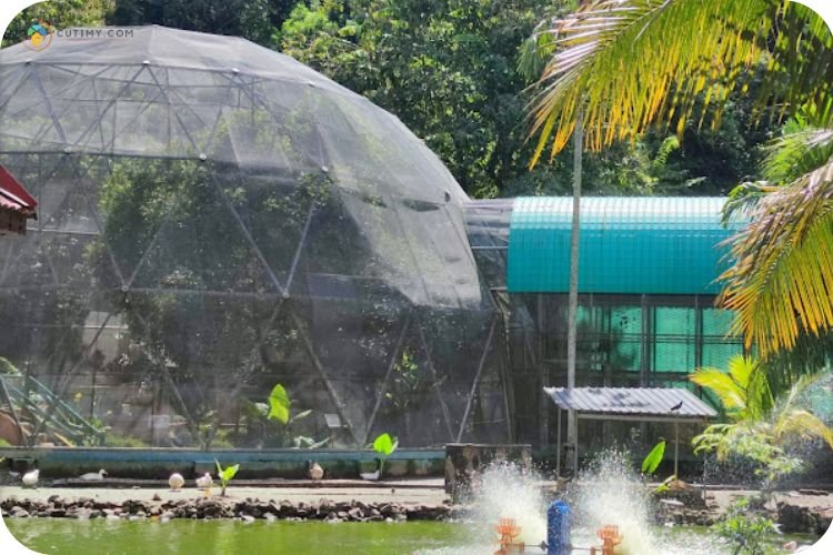 17+ Tempat Menarik Di Labuan untuk Pelancongan Best 12 Imej Taman Burung