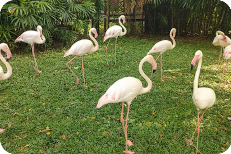 15+ Tempat Menarik Di Alor Gajah Yang Wajib Singgah! 16 Imej A'Famosa Animal World Safari