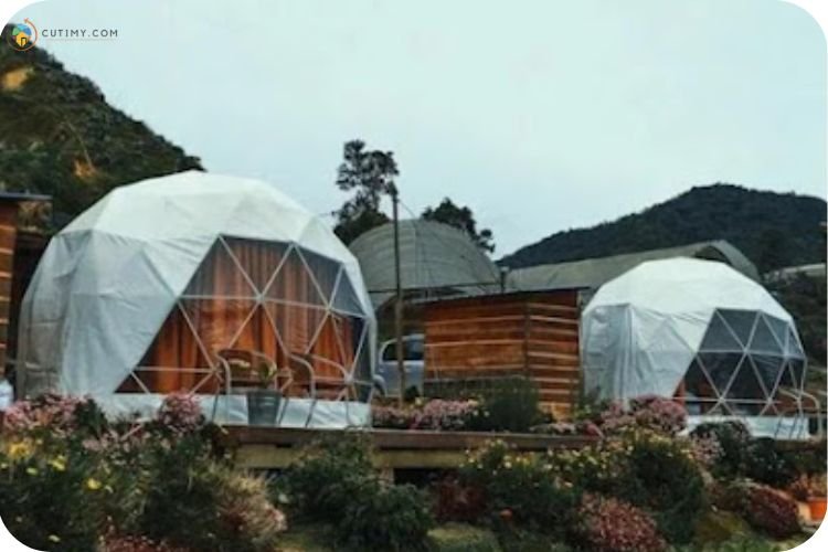 15+ Tempat Camping di Pahang Untuk Berkhemah Terbaik 3 Imej A’moss Farmstay