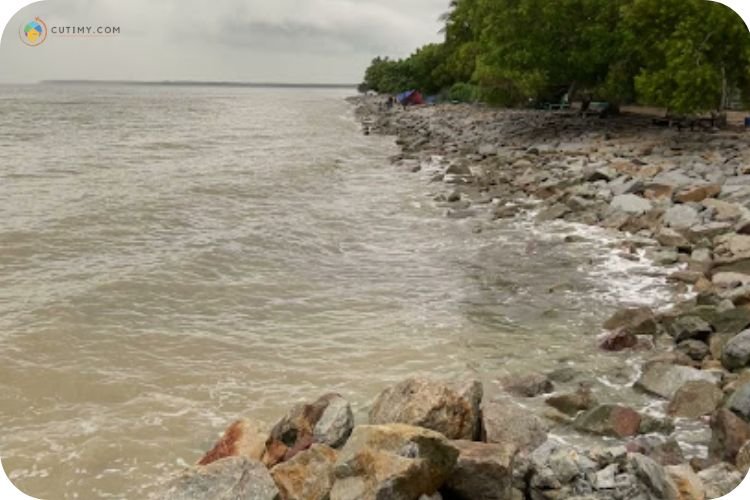 9 Tempat Memancing Di Klang Yang Menarik Terkini 5 Imej Angler Resort