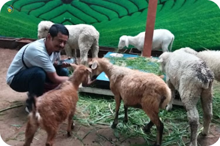 Imej Animal Feeding Rainbow Garden