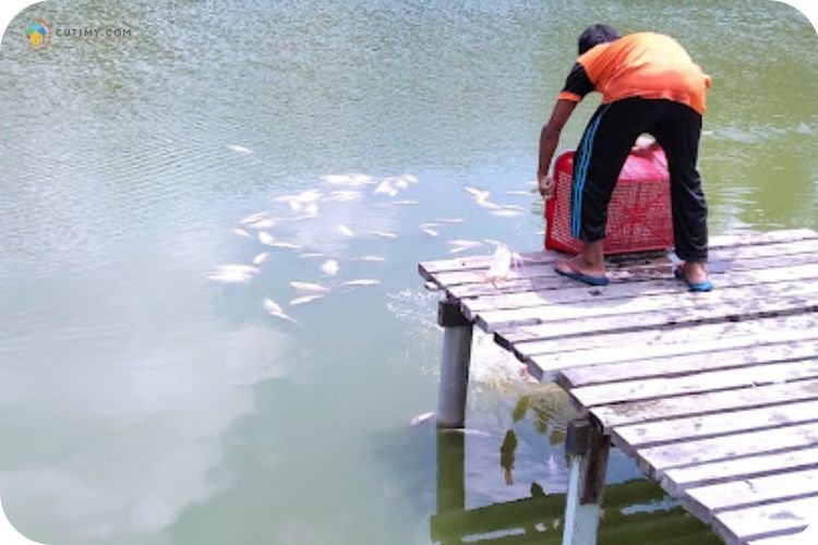 Imej Bonda Kolam Pancing Berlauk