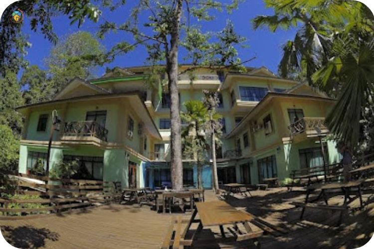 25+ Tempat Menarik Di Miri: Percutian Menakjubkan 3 Imej Borneo Tropical Rainforest Resort