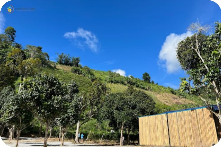 15+ Tempat Camping di Pahang Untuk Berkhemah Terbaik 16 Imej Camperz Hideout