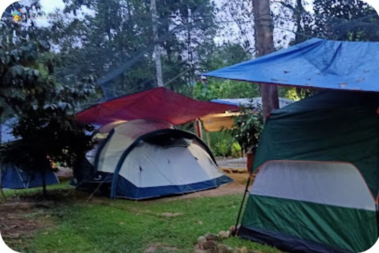 Imej Dusun Lata Bayu Campsites