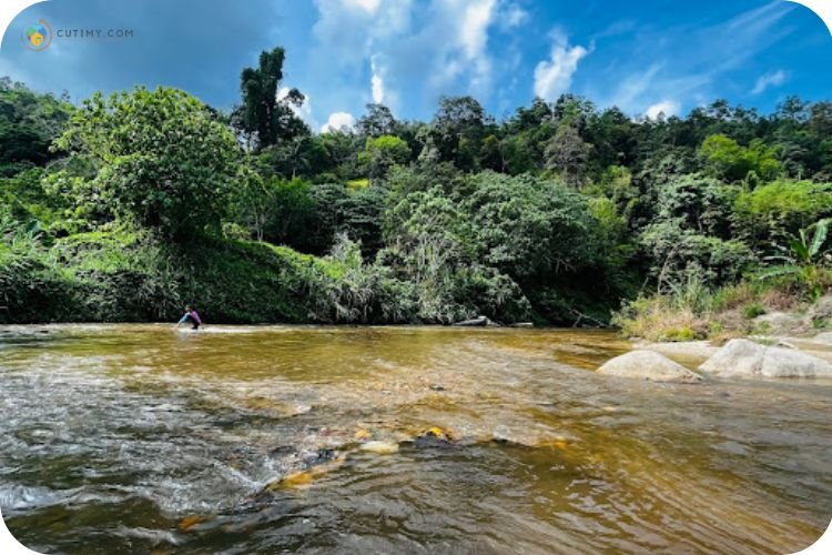 15+ Tempat Camping di Pahang Untuk Berkhemah Terbaik 15 Imej Havarri Riverside Camp Bentong (Turtle Rock)