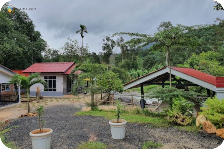 Imej Hibiscus Sedim, Kulim