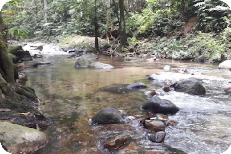 15 Tempat Camping di Johor Yang Best & Disyorkan! 6 Imej Hutan Lipur Sg Tua