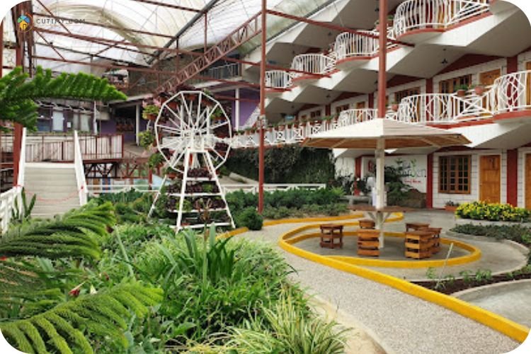 Imej Kea Farm Market