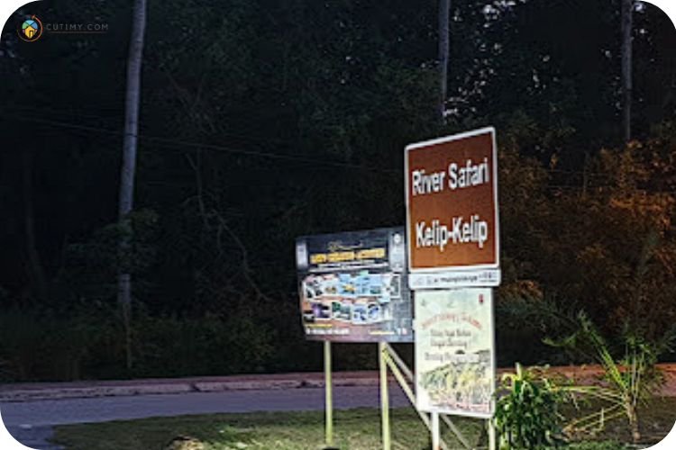 Imej Kelip-Kelip Sungai Cherating