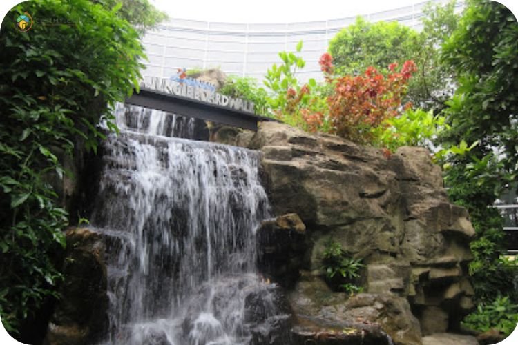 13 Tempat Menarik di Sepang Paling Best Terkini 4 Imej Klia Jungle Broadwalk