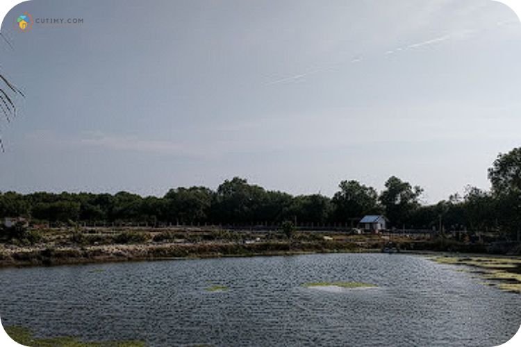 15 Tempat Memancing di Kedah Paling Best Terkini 5 Imej Kolam Cendol Kuala Kedah