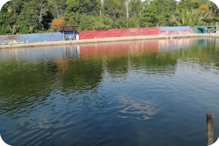 15 Tempat Memancing di Kedah Paling Best Terkini 12 Imej Kolam Memancing Siakap Cendoi