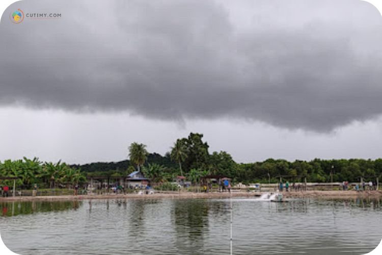 11 Tempat Memancing Di Penang Yang Best dan Popular! 7 Imej Kolam Memancing Siakap Cendoi