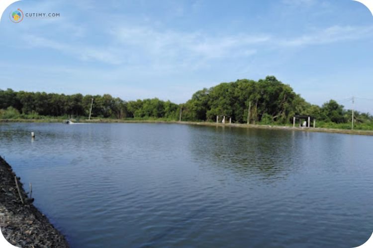 15 Tempat Memancing di Kedah Paling Best Terkini 4 Imej Kolam Pancing Basir