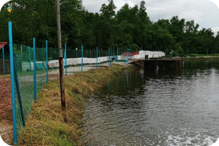 11 Tempat Memancing Di Penang Yang Best dan Popular! 6 Imej Kolam Pancing D'Bakau