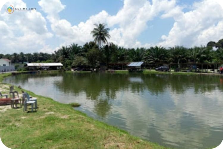 11 Tempat Memancing Di Penang Yang Best dan Popular! 11 Imej Kolam Pancing (Fishing Pond) Pak Ali