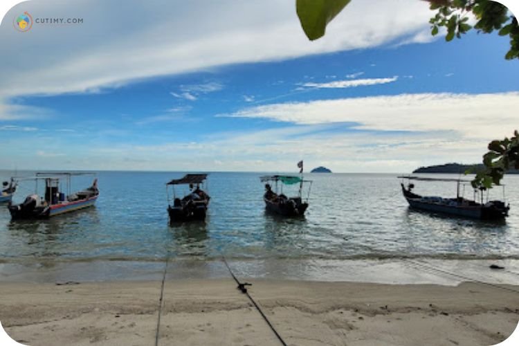 11 Tempat Memancing Di Penang Yang Best dan Popular! 2 Imej Kolam Pancing Gertak Sanggul