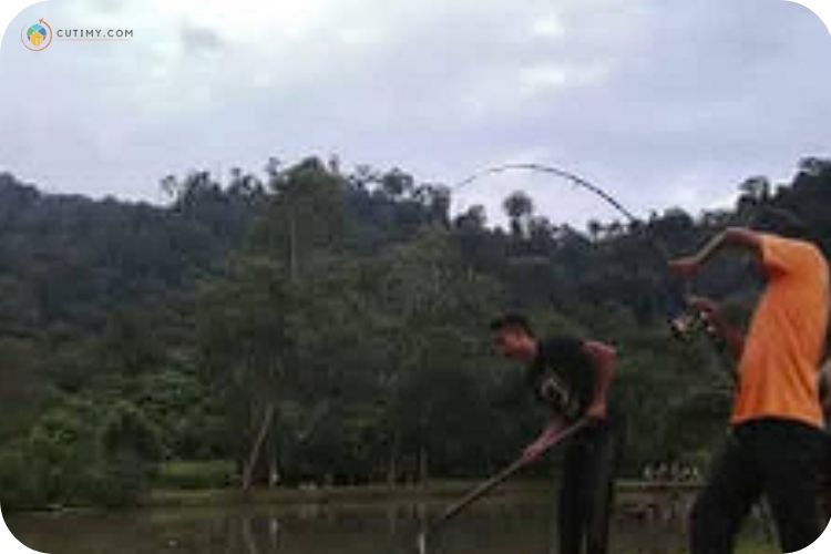 Imej Kolam Pancing Joran Pendek