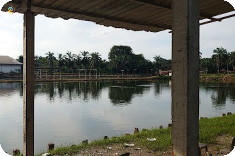 Imej Kolam Pancing Joran Terbang