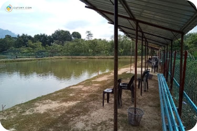 15 Tempat Memancing di Kedah Paling Best Terkini 3 Imej Kolam Pancing KMK