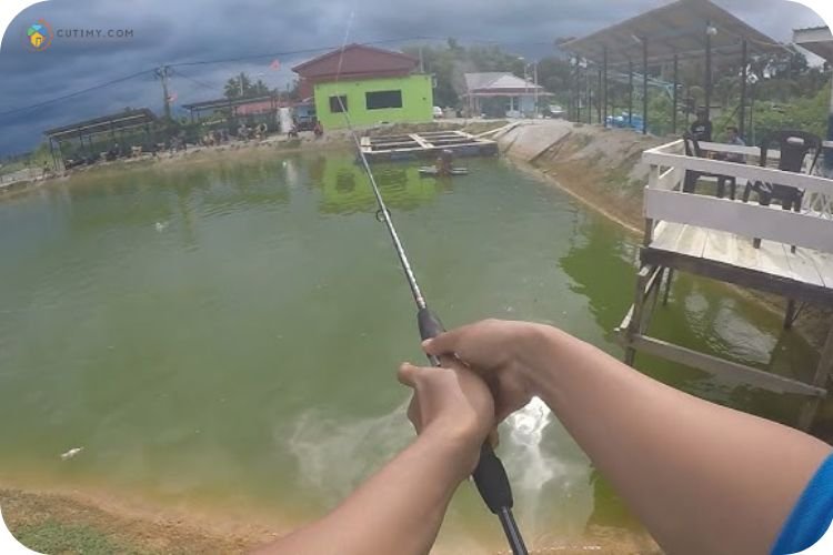 Imej Kolam Pancing Pok Man, Kg Kesom Banggol Tok Jang, Manir