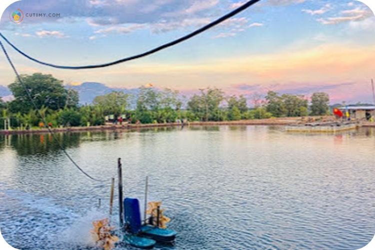 15 Tempat Memancing di Kedah Paling Best Terkini 8 Imej Kolam Pancing Tagan Baan