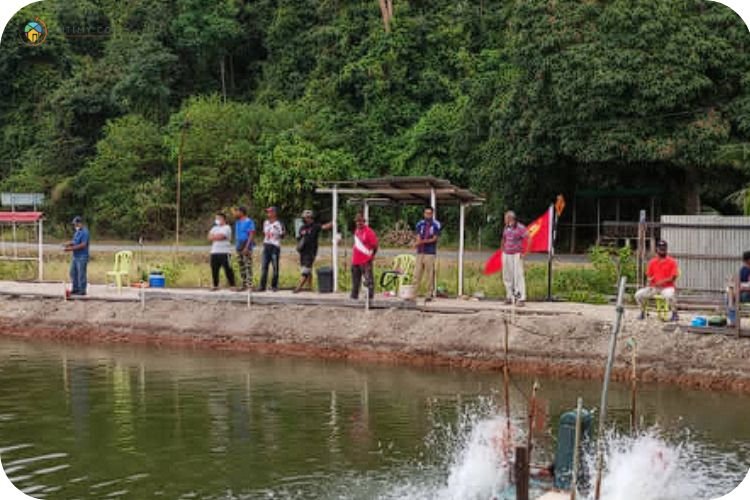 11 Tempat Memancing Di Penang Yang Best dan Popular! 5 Imej Kolam Pancing Tagan Baan