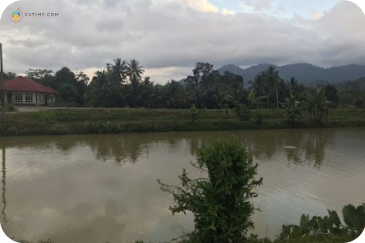 10 Tempat Memancing di Kelantan Yang Wajib Singgah! 7 Imej Kolam Tok Wan