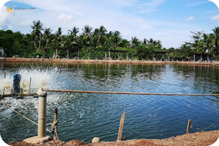15 Tempat Memancing di Kedah Paling Best Terkini 14 Imej Legend Fishing Centre