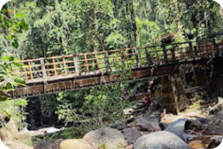 Imej Matang Family Park