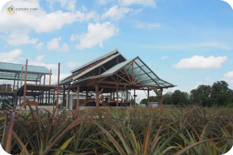 15+ Tempat Menarik Di Pontian Wajib Korang Singgah! 11 Imej Nictar Farm