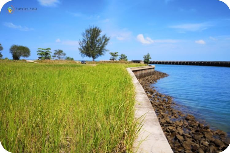 Imej Pancing Port Pd World Marina