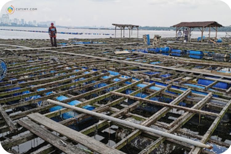 7 Tempat Memancing di Johor Yang Dijamin Seronok 2 Imej Rakit Wak Kahar, JB