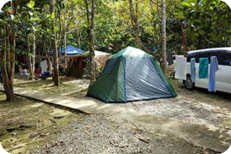 13 Tempat Camping Janda Baik Yang Wajib Singgah! 8 Imej Rimbun at Janda Baik