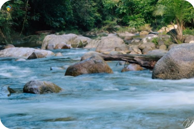 Imej Sungai Sedim Jeram Terbaik