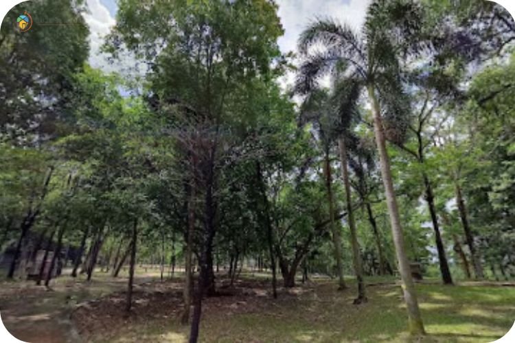 21+ Tempat Menarik di Klang Untuk Cuti Menakjubkan 19 Imej Taman Bandar Diraja