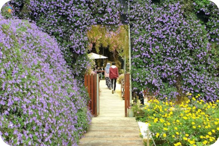 Imej Taman Flora Cameron