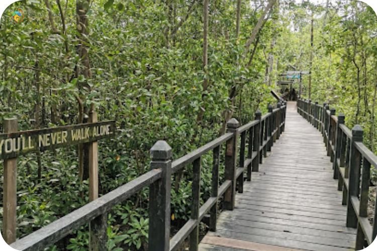 15+ Tempat Menarik Di Pontian Wajib Korang Singgah! 15 Imej Taman Negara Tanjung Piai